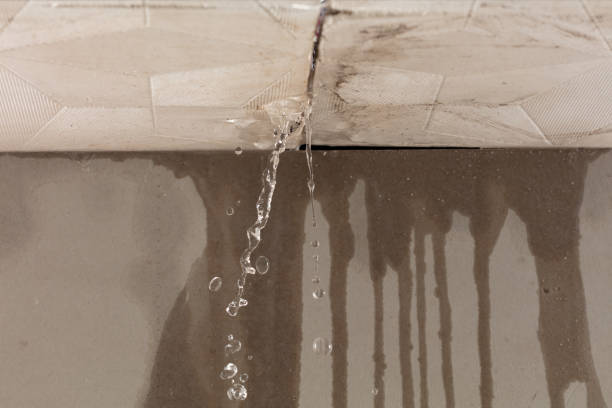 Professional Burst Pipe Cleanup technician working in Conetoe, NC